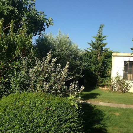 B&B - Le Vieux Figuier Vacqueyras Luaran gambar