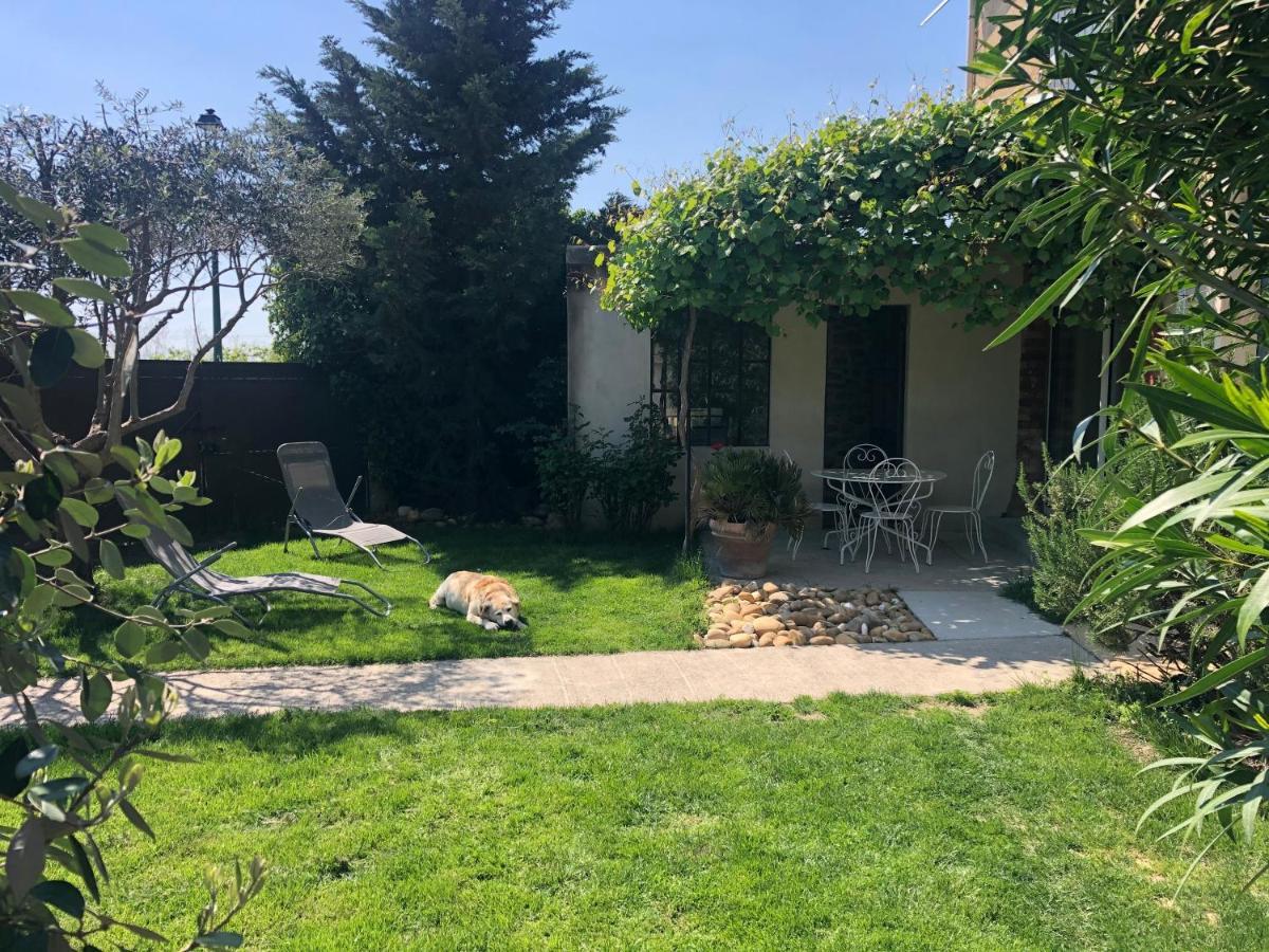 B&B - Le Vieux Figuier Vacqueyras Luaran gambar