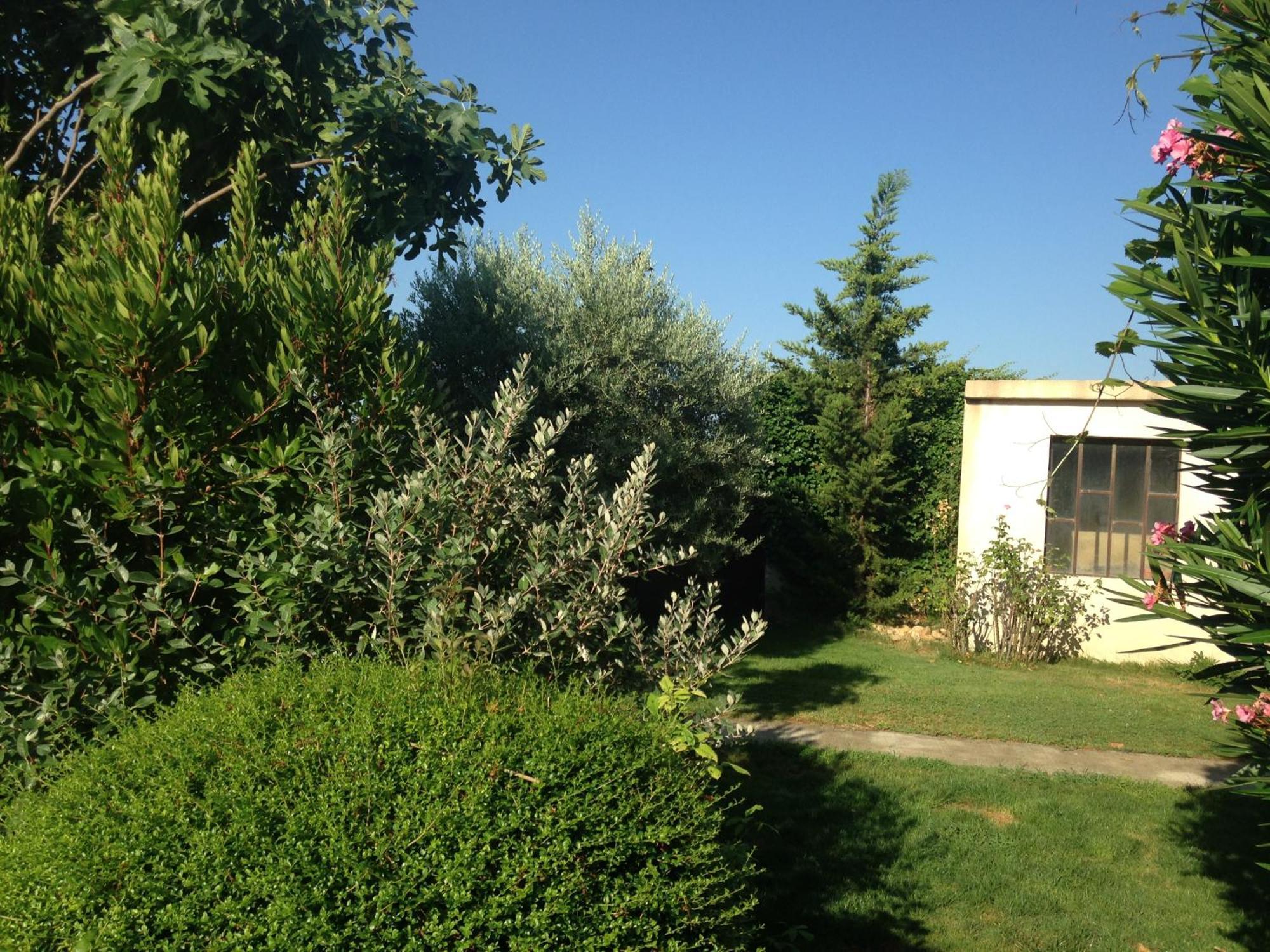 B&B - Le Vieux Figuier Vacqueyras Luaran gambar