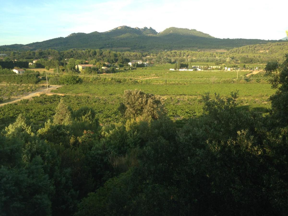 B&B - Le Vieux Figuier Vacqueyras Luaran gambar