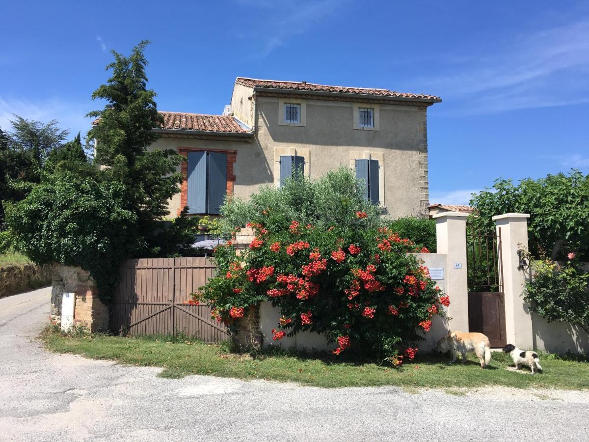 B&B - Le Vieux Figuier Vacqueyras Luaran gambar