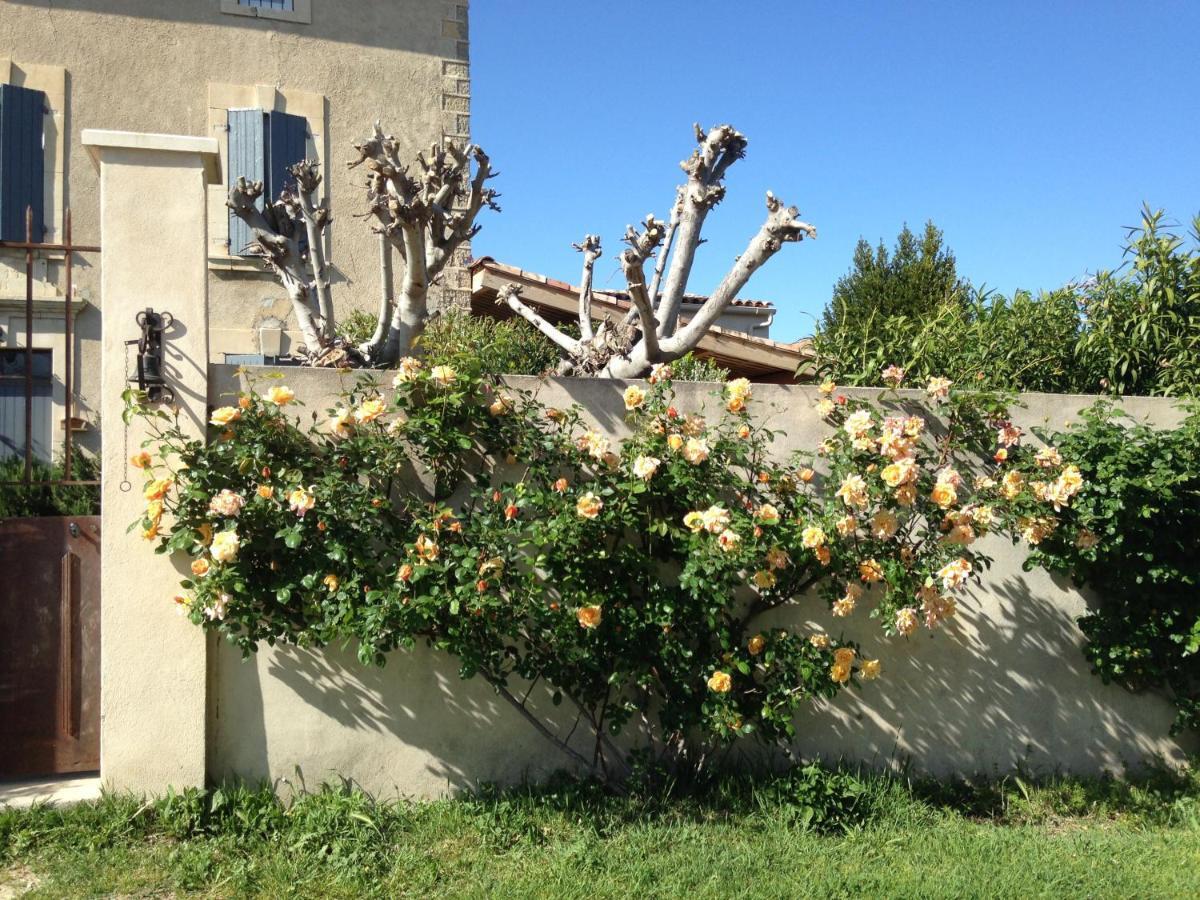 B&B - Le Vieux Figuier Vacqueyras Luaran gambar